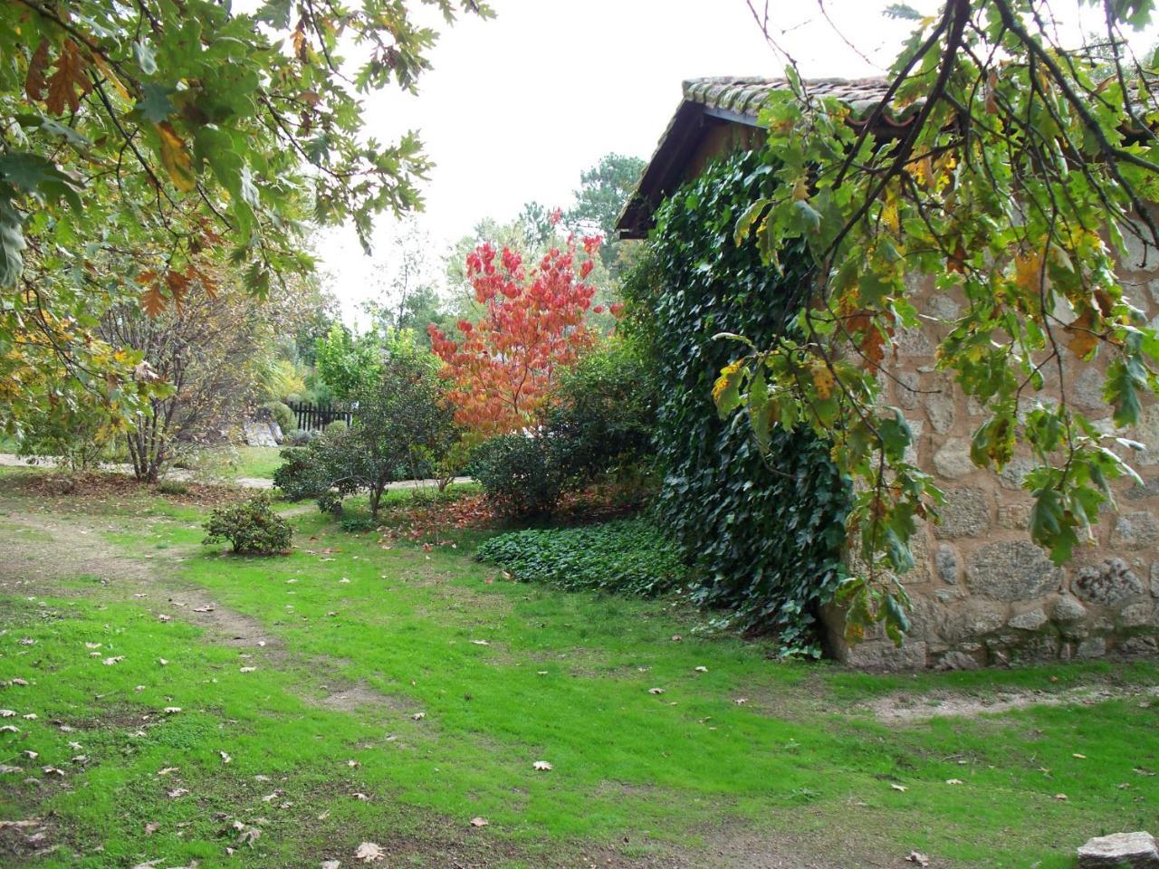 Apartamentos El Roble Valverde de la Vera Екстериор снимка